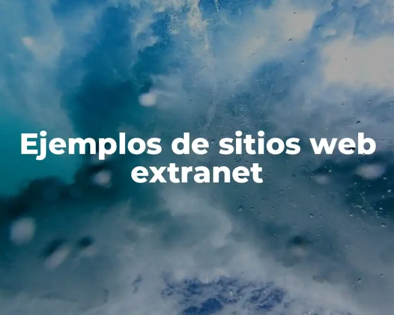 Ejemplos de sitios web extranet