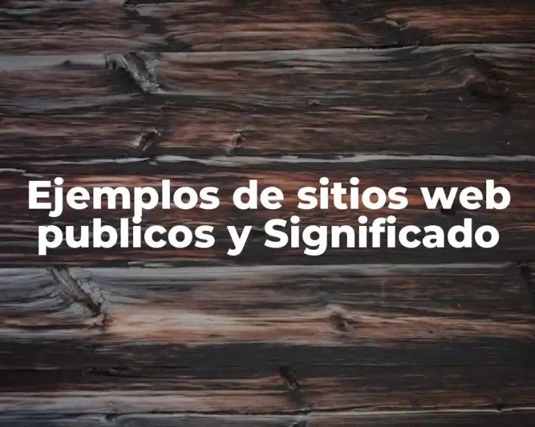 Ejemplos de sitios web publicos y Significado