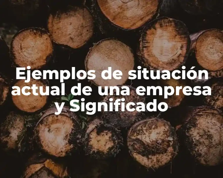 Ejemplos de situación actual de una empresa y Significado