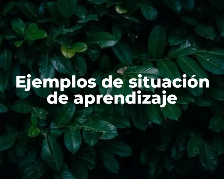 Ejemplos de situación de aprendizaje