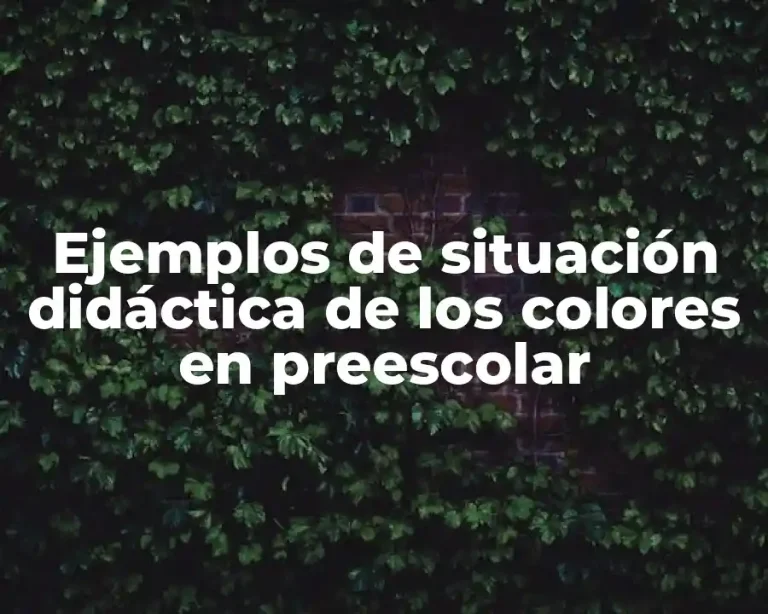 Ejemplos de situación didáctica de los colores en preescolar