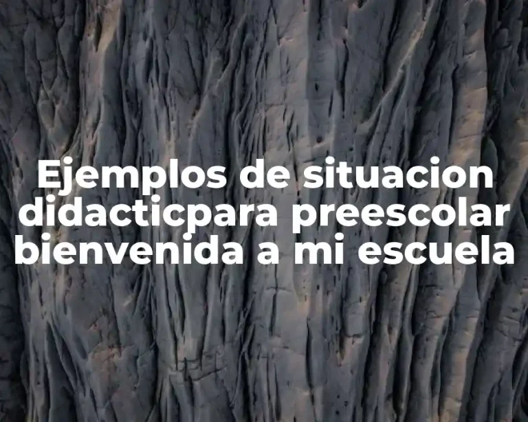 Ejemplos de situacion didacticpara preescolar bienvenida a mi escuela