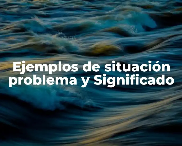 Ejemplos de situación problema y Significado