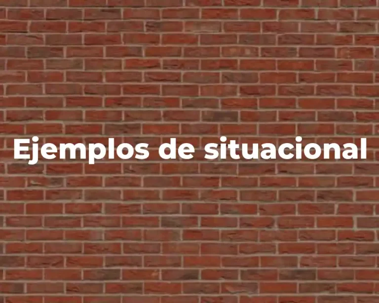 Ejemplos de situacional