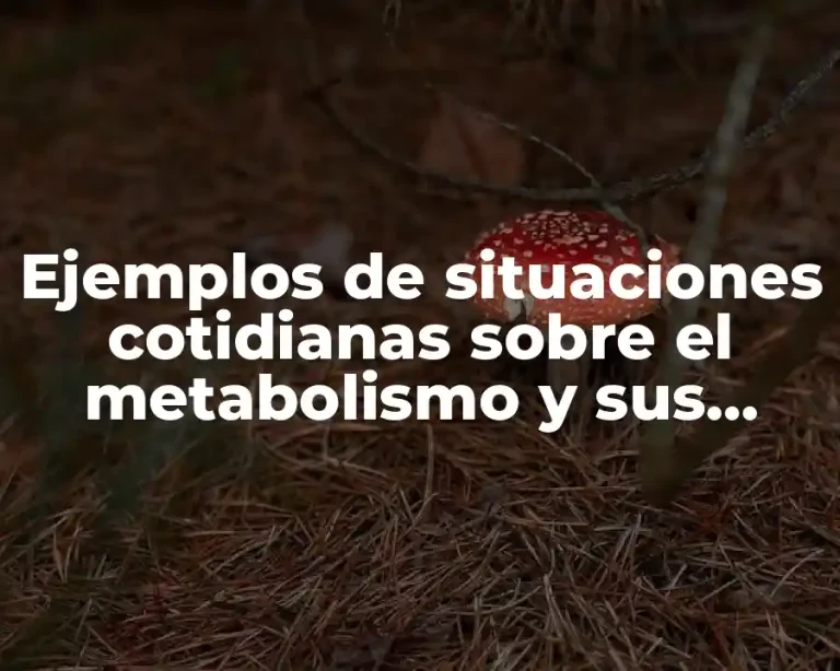 Ejemplos de situaciones cotidianas sobre el metabolismo y sus divisiones