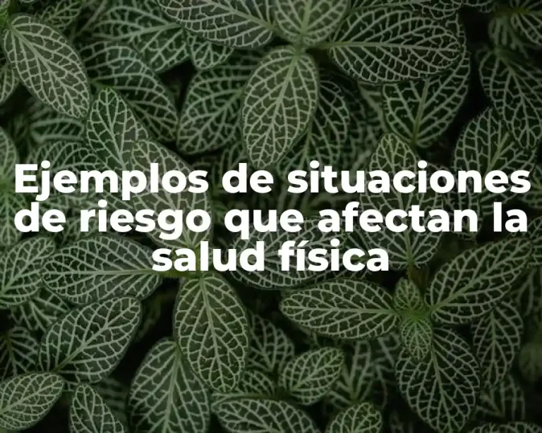 Ejemplos de situaciones de riesgo que afectan la salud física