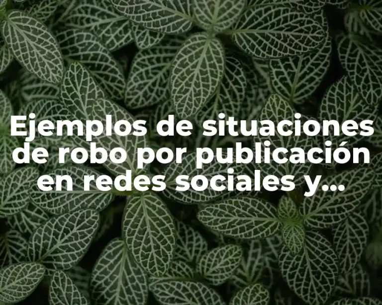 Ejemplos de situaciones de robo por publicación en redes sociales y Significado