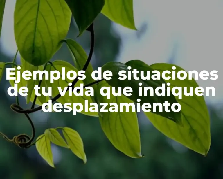 Ejemplos de situaciones de tu vida que indiquen desplazamiento