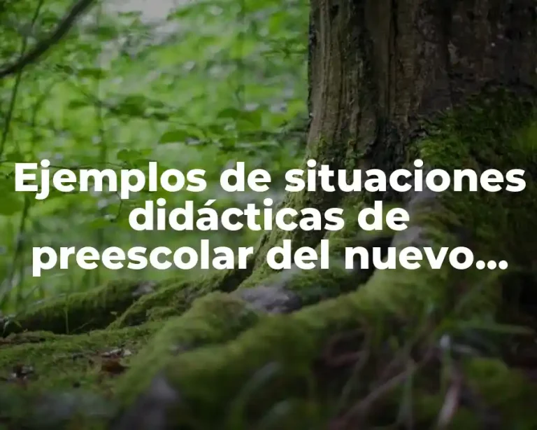 Ejemplos de situaciones didácticas de preescolar del nuevo modelo