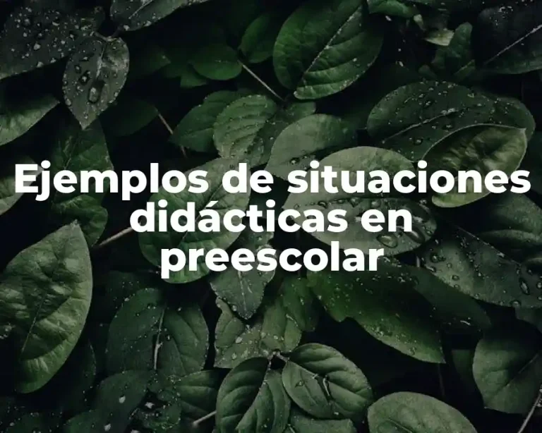 Ejemplos de situaciones didácticas en preescolar
