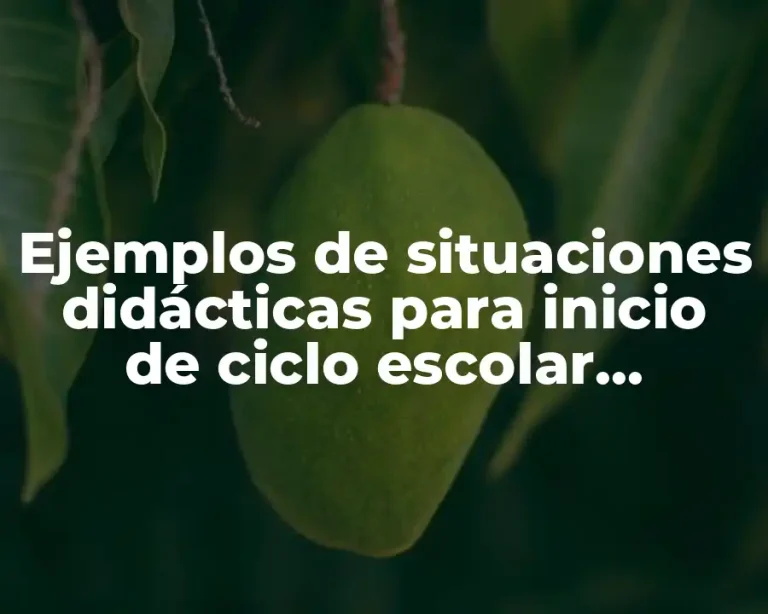 Ejemplos de situaciones didácticas para inicio de ciclo escolar preescolar