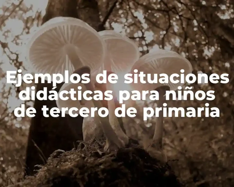 Ejemplos de situaciones didácticas para niños de tercero de primaria