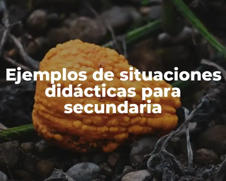 Ejemplos de situaciones didácticas para secundaria