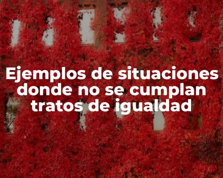 Ejemplos de situaciones donde no se cumplan tratos de igualdad