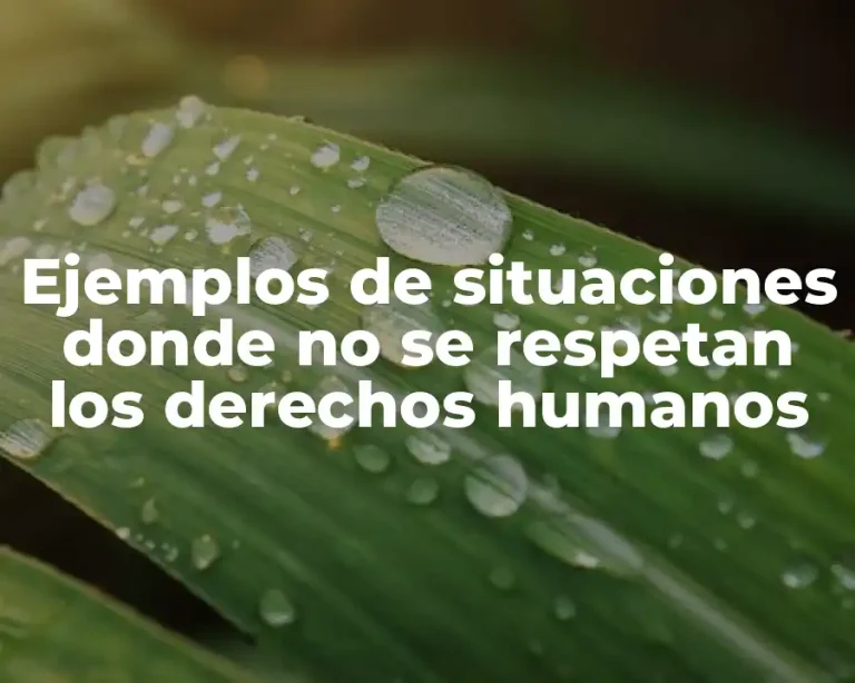Ejemplos de situaciones donde no se respetan los derechos humanos