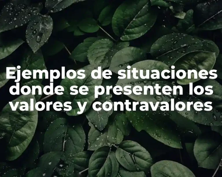Ejemplos de situaciones donde se presenten los valores y contravalores