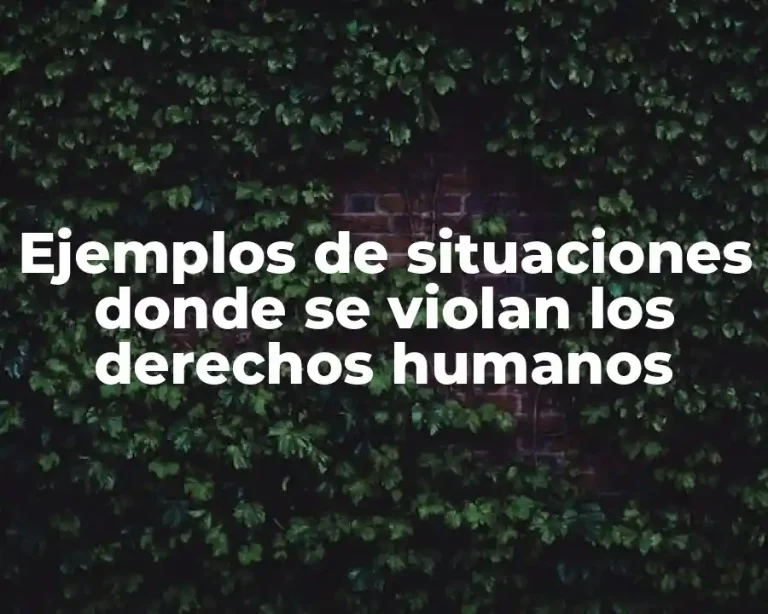 Ejemplos de situaciones donde se violan los derechos humanos