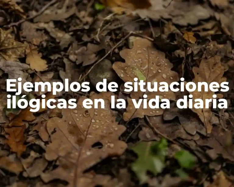 Ejemplos de situaciones ilógicas en la vida diaria