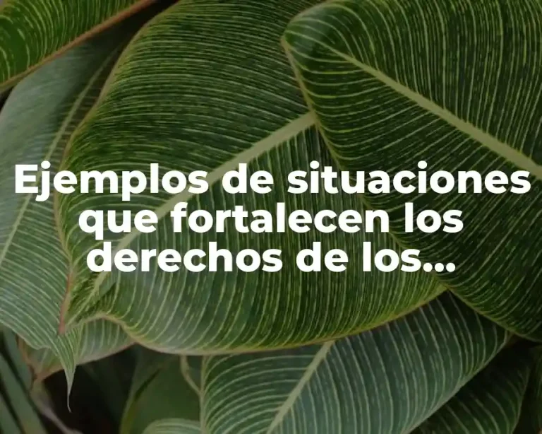 Ejemplos de situaciones que fortalecen los derechos de los adolescentes