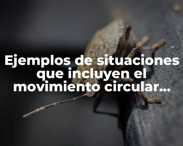 Ejemplos de situaciones que incluyen el movimiento circular armonico