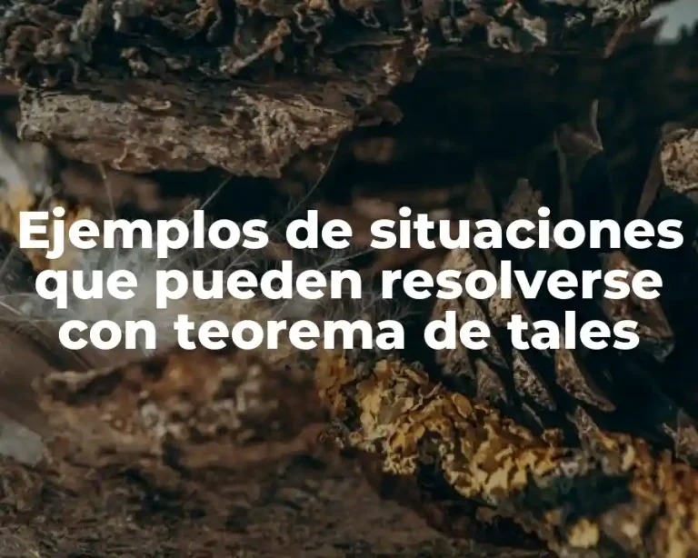 Ejemplos de situaciones que pueden resolverse con teorema de tales