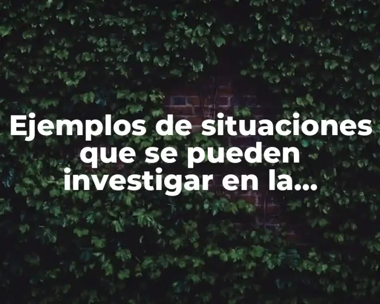 Ejemplos de situaciones que se pueden investigar en la sociología