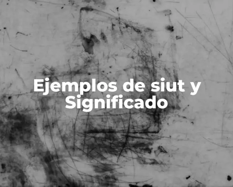 Ejemplos de siut y Significado