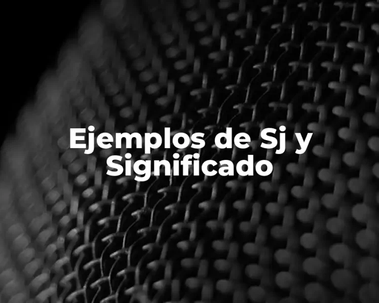 Ejemplos de Sj y Significado