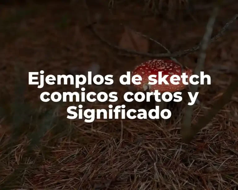 Ejemplos de sketch comicos cortos y Significado