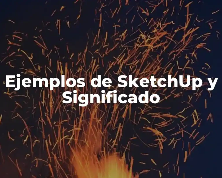 Ejemplos de SketchUp y Significado