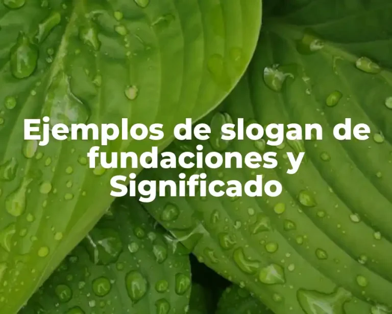 Ejemplos de slogan de fundaciones y Significado