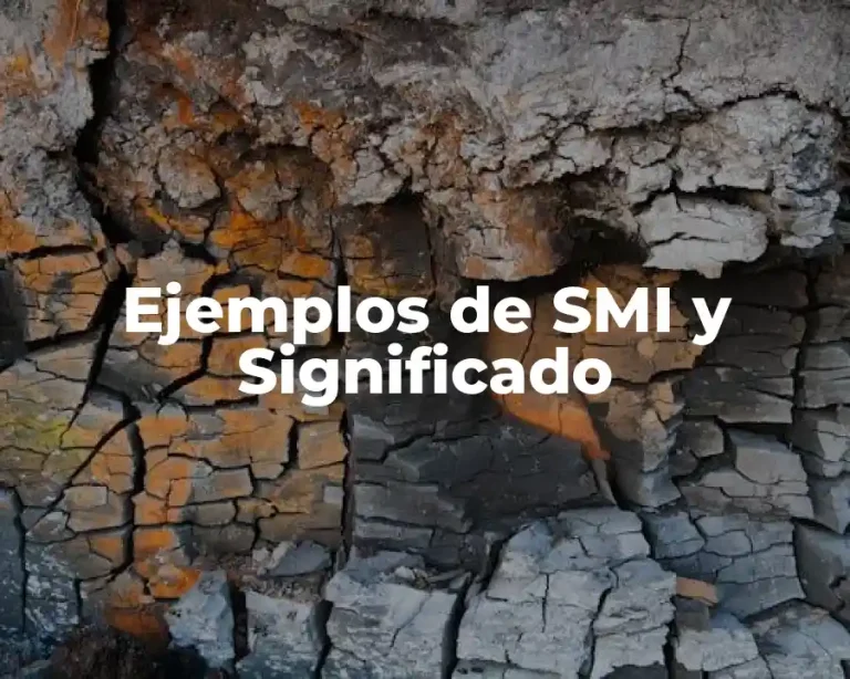 Ejemplos de SMI y Significado