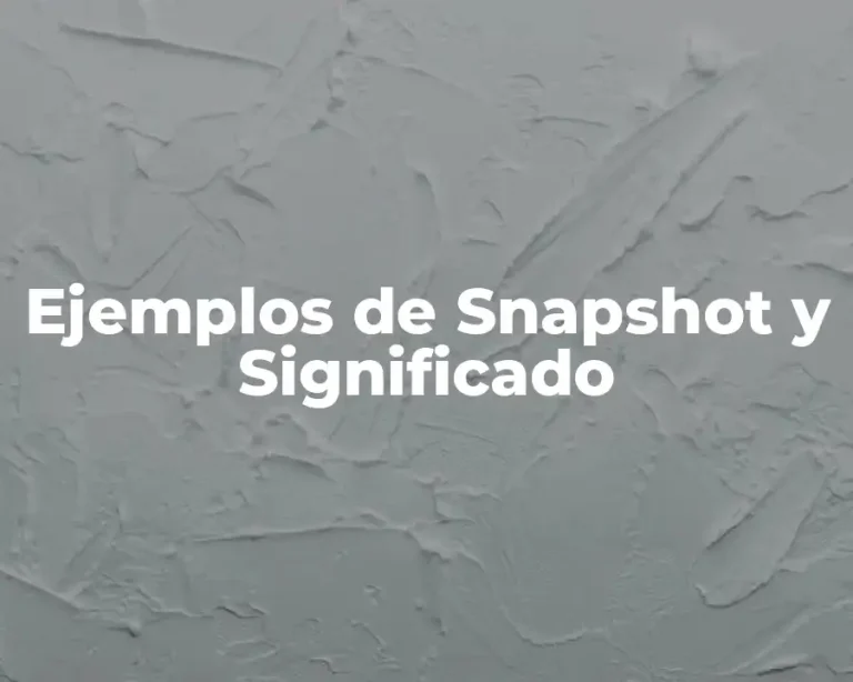 Ejemplos de Snapshot y Significado