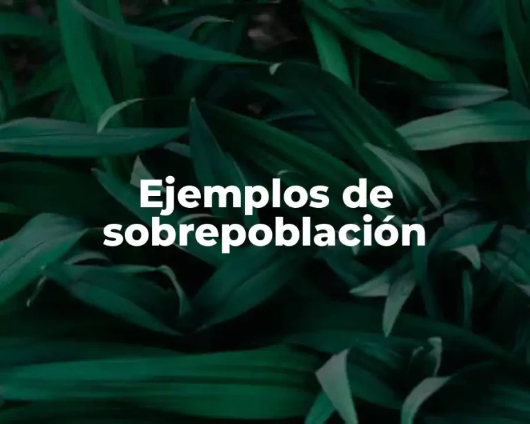 Ejemplos de sobrepoblación