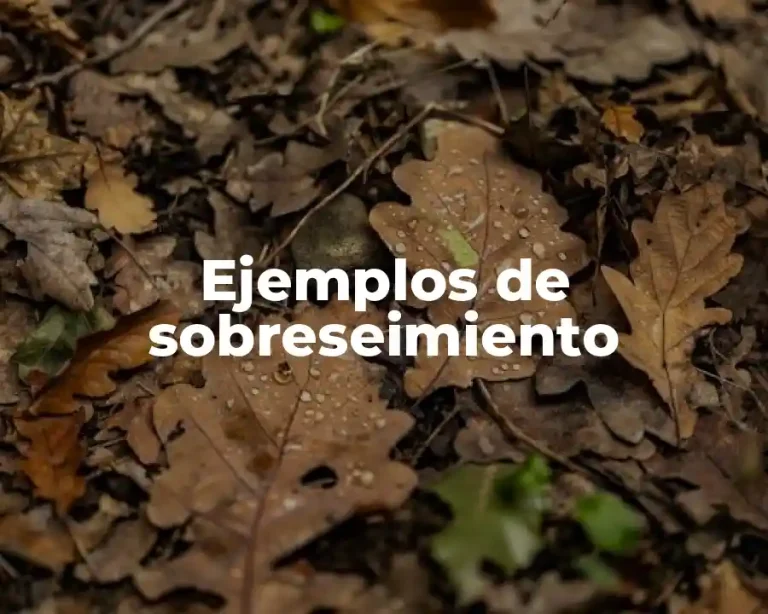 Ejemplos de sobreseimiento