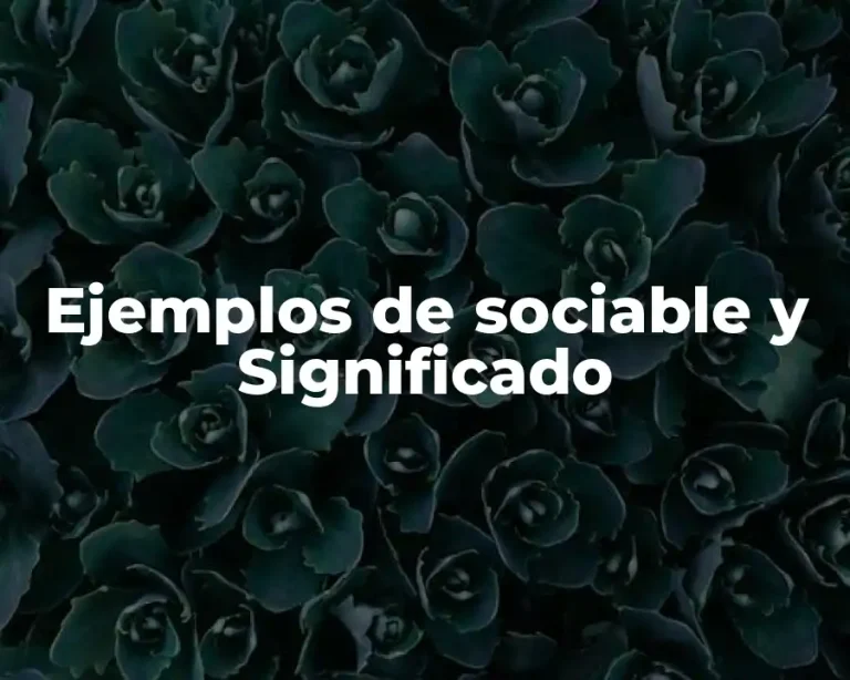 Ejemplos de sociable y Significado