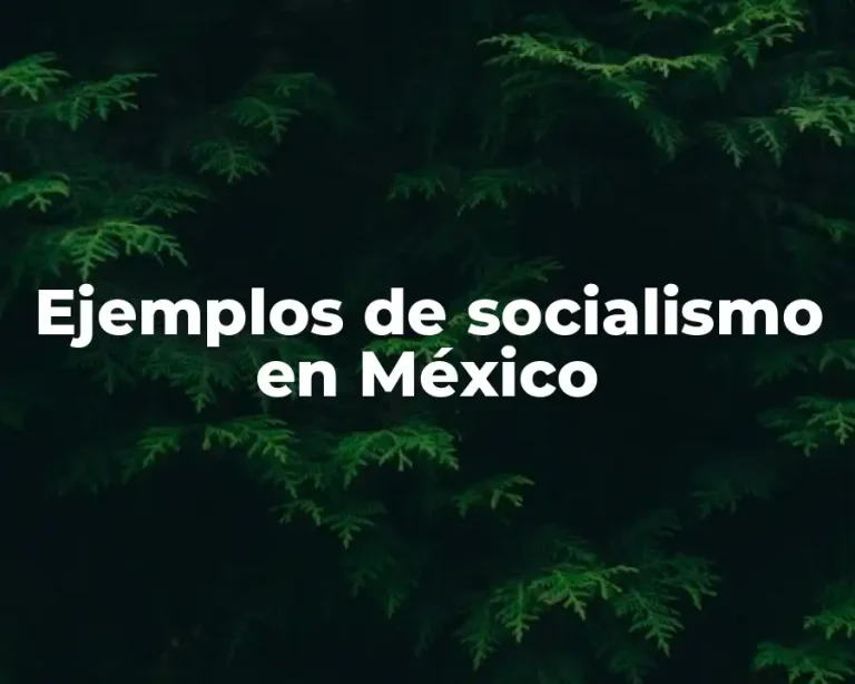 Ejemplos de socialismo en México