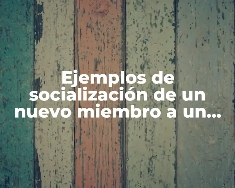 Ejemplos de socialización de un nuevo miembro a un grupo