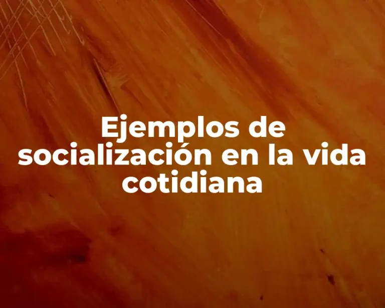 Ejemplos de socialización en la vida cotidiana
