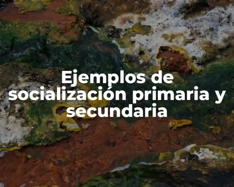 Ejemplos de socialización primaria y secundaria