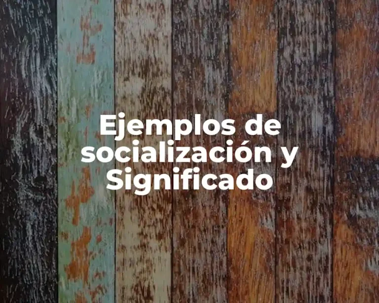 Ejemplos de socialización y Significado