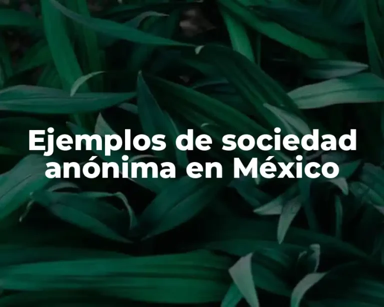 Ejemplos de sociedad anónima en México