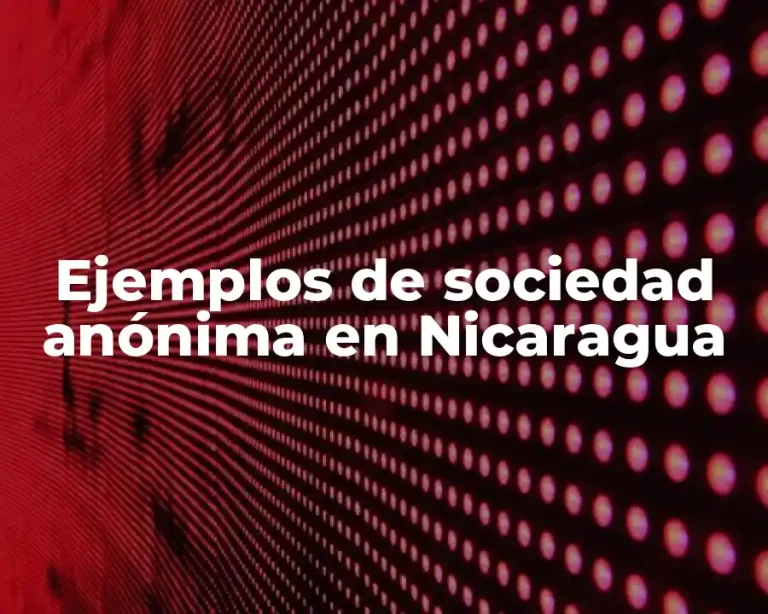 Ejemplos de sociedad anónima en Nicaragua