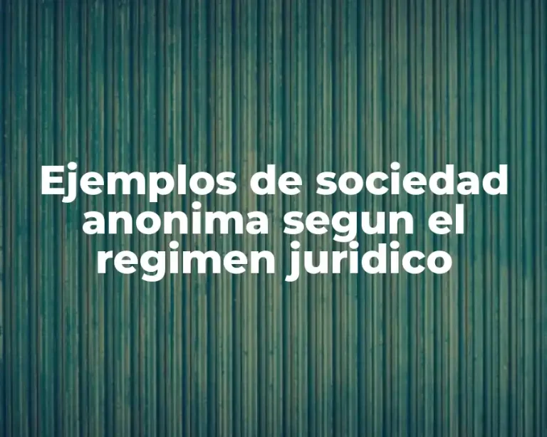 Ejemplos de sociedad anonima segun el regimen juridico