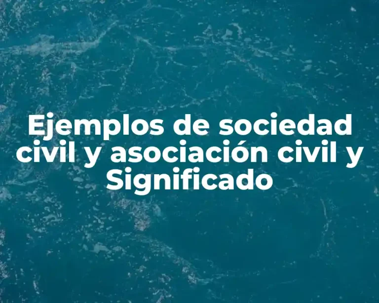 Ejemplos de sociedad civil y asociación civil y Significado