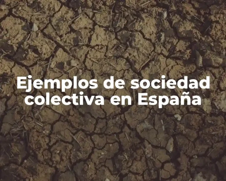 Ejemplos de sociedad colectiva en España
