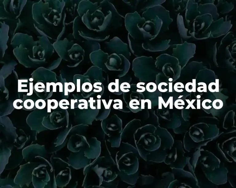 Ejemplos de sociedad cooperativa en México