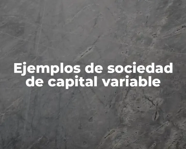 Ejemplos de sociedad de capital variable