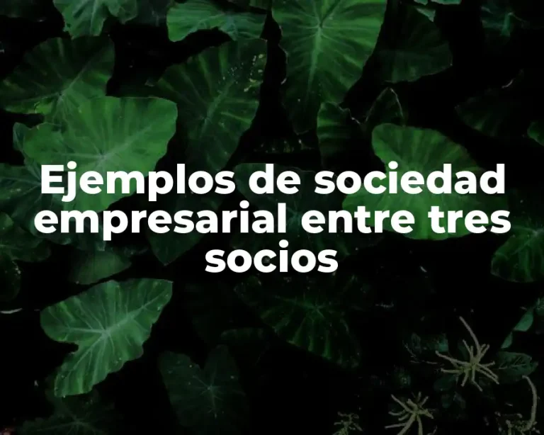 Ejemplos de sociedad empresarial entre tres socios