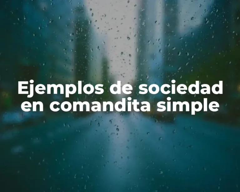 Ejemplos de sociedad en comandita simple